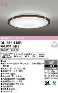 �y���������zN�敪 �I�[�f���b�N OL251445R �V�[�����O���C�g �����R���t �`12�� LED ���S�̃��[�J�[�ۏ�