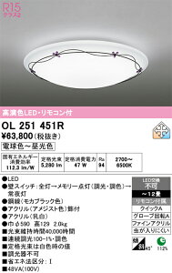 �y���������zN�敪 �I�[�f���b�N OL251451R �V�[�����O���C�g �����R���t �`12�� LED ���S�̃��[�J�[�ۏ�