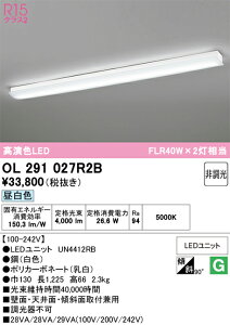 N�敪 �I�[�f���b�N OL291027R2B �i�������j�b�g�ʍ���j�wOL291027#�{UN4412RB�x �u���P�b�g ��ʌ` �����_������ �����ݒ薳�� LED ���S�̃��[�J�[�ۏ�