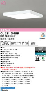 �y���������zH�敪 �I�[�f���b�N OL291507BR �V�[�����O���C�g �����R���ʔ� �`12�� LED ���S�̃��[�J�[�ۏ�