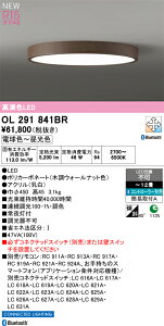 �y���������zN�敪 �I�[�f���b�N OL291841BR �V�[�����O���C�g �����R���ʔ� �`12�� LED ���S�̃��[�J�[�ۏ�