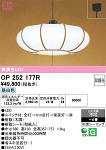 �y���������zN�敪 �I�[�f���b�N OP252177R �y���_���g �`6�� LED ���S�̃��[�J�[�ۏ�