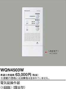 �y���������z�p�i�\�j�b�N WQN4503W �I�v�V���� �����ݒ薳�� N�敪 ���S���[�J�[�ۏ� ����20�N�̘V�� ���S�̃��[�J�[�ۏ�
