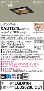 �y���������z �p�i�\�j�b�N XAD1124LCE1-SF �wLGD9104�{LLD2020LCE1�x�i�����v�ʍ���j �_�E�����C�g ��ʌ` �y���C��SB�`�z �����_������ �����ݒ薳�� LED T�敪 ���S���[�J�[�ۏ�