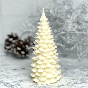 A}Lh c[  \C SOY LhiȐcj  { nhCh uU[ht[      u Mtg v[g