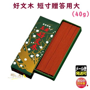  p D Ԃڂ Zop  113 ~h {      h  d 䋟  i i r Mtg r Q [֔