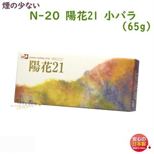   N-20 z21 o  唭 {         䋟 d @v  ̏Ȃ yY r V  