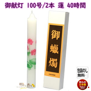 G낤 䌣 Ƃ 100 2{ @ ͂ 40 CX { GXC G[\N 낤 [\N XC i d   G r @v  䋟 