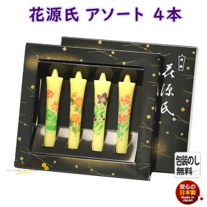 G낤 Ԍ A\[g 4{ 149-15 CX { GXC G[\N 낤 [\N XC i d   G r ~ @v  䋟  ͂Ȃ @ e j[ 