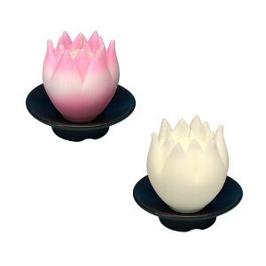 B t 2 Zbg Ԍ^ [\N 10 Mtg CX { 146-01s Ԍ` 낤 Lh  ~ p v[g  i ~ őO O p XC cl @