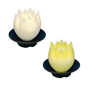 B t 2 Zbg Ԍ^ [\N 10 Mtg CX { 146-01s Ԍ` 낤 Lh  ~ p v[g  i ~ őO O p XC cl @