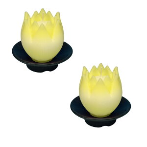 B t 2 Zbg Ԍ^ [\N 10 Mtg CX { 146-01s Ԍ` 낤 Lh  ~ p v[g  i ~ őO O p XC cl @