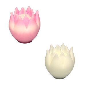 B Ȃ 2 Zbg Ԍ^ [\N 10 Mtg CX { 145-01s Ԍ` 낤 Lh  p v[g ~  i őO O p XC cl @v