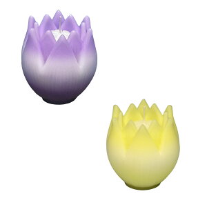 B Ȃ 2 Zbg Ԍ^ [\N 10 Mtg CX { 145-01s Ԍ` 낤 Lh  p v[g ~  i őO O p XC cl @v