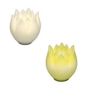 B Ȃ 2 Zbg Ԍ^ [\N 10 Mtg CX { 145-01s Ԍ` 낤 Lh  p v[g ~  i őO O p XC cl @v