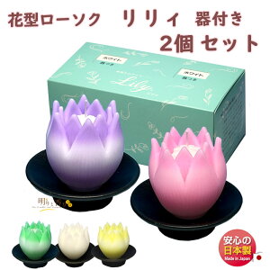 B t 2 Zbg Ԍ^ [\N 10 Mtg CX { 146-01s Ԍ` 낤 Lh  ~ p v[g  i ~ őO O p XC cl @