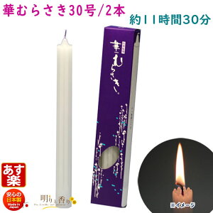 낤 ؂ނ炳 30 2{ 1130 CX 151-07 { XC [\N Lh ؎ ~ dp   MUMU Ԍ` ،`  ͂Ȃނ炳  ފ hV̓ @