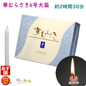 낤 ؂ނ炳 4 唠 42{ 230 CX 151-14 { XC [\N Lh ؎ ~ dp   MUMU  ͂Ȃނ炳  ފ p @