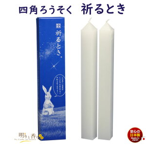 낤 FplpXCFƂ 2{ 176-11 CX { 낤 d i   Lh  @ 䋟 @v [