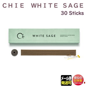 CHIE WHITE SAGE XeBbN30{ { { A}    v[g 蕨 Mtg