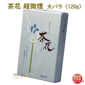   R̂₷炬  ΂  o ѓ {  i Mtg  A} 䋟 蕨 d̏Ȃ r  @v 