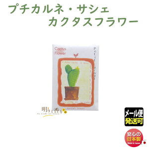   v` Jl TVF JN^Xt[ 331 O {   A}   A} Mtg v[g p 蕨 T{e ɂ NX}X [֔