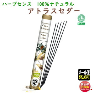   n[uZX AgXZ_[   1026 O {  A}    CZX yY  NX}X 蕨 p v[g [֔