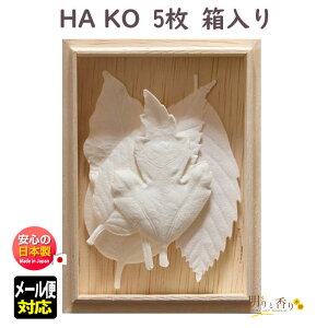 t   HA KO 5  1701 O { A} ͂ t     [ CZX      