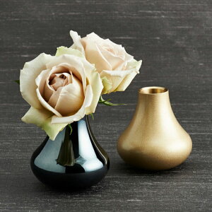   HANAv您 Rv kyujo-orin {EEhAExEėE`CEEkyujoEorin