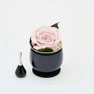  t[ RINFLORAv您 Rv kyujo-orin {EEhAExEėE`CEEkyujoEorin