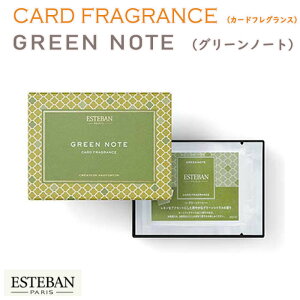 GXeo J[h tOX h O[m[g ESTEBAN 52147 { Nippon Kodo   TVF h   z  A} Mtg NX}X a p v[g 