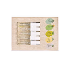 GXeo uDiscover ESTEBANv CeAK[fi`[ ~j[Xv[Rt 52440 { { A}    v[g 蕨 Mtg