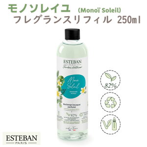 GXeo CeAK[fi`[ mC\C tOXtB250ml 52502 ESTEBAN { { A}    v[g 蕨 Mtg