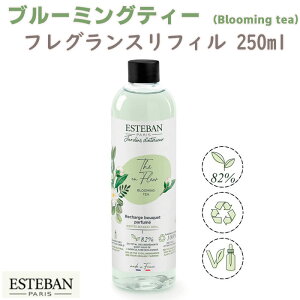 GXeo CeAK[fi`[ u[~OeB[ tOXtB250ml 52512 ESTEBAN { { A}    v[g 蕨 Mtg