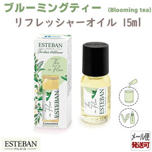 GXeo CeAK[fi`[ u[~OeB[ tbV[IC15ml 52516 ESTEBAN { { A}    v[g 蕨 Mtg