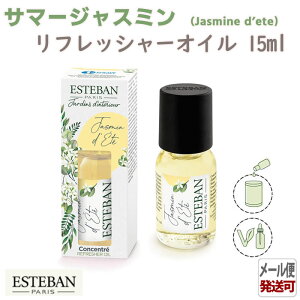 GXeo CeAK[fi`[ T}[WX~ tbV[IC15ml 52526 ESTEBAN { { A}    v[g 蕨 Mtg