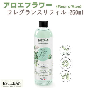 GXeo CeAK[fi`[ AGt[ tOXtB250ml 52532 ESTEBAN { { A}    v[g 蕨 Mtg