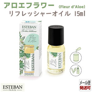 GXeo CeAK[fi`[ AGt[ tbV[IC15ml 52536 ESTEBAN { { A}    v[g 蕨 Mtg