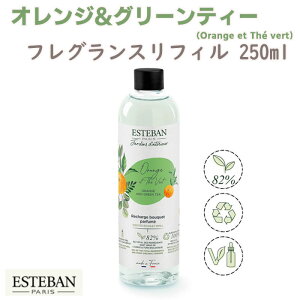 GXeo CeAK[fi`[ IW&O[eB[ tOXtB250ml 52542 ESTEBAN { { A}    v[g 蕨 Mtg