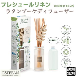 GXeo CeAK[fi`[ tV[l ^u[PfBt[U[ 52561 ESTEBAN { { A}    v[g 蕨 Mtg