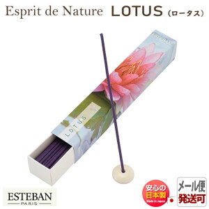 GXeo GXv h i`[ [^X XeBbN40{ 98504 { { A}    v[g 蕨 Mtg