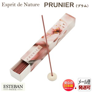 GXeo GXv h i`[ v XeBbN40{ 98506 { { A}    v[g 蕨 Mtg