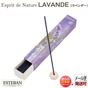 GXeo GXv h i`[ x_[ XeBbN40{ 98507 { { A}    v[g 蕨 Mtg