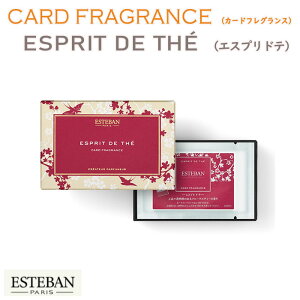 GXeo J[h tOX h GXv h e ESTEBAN TONKA 52151 { Nippon Kodo   TVF h  z  A} Mtg NX}X a p v[g 