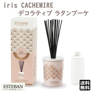 GXeo CXJV~A fReBu^u[P 52312 ESTEBAN { A}    v[g 蕨 Mtg