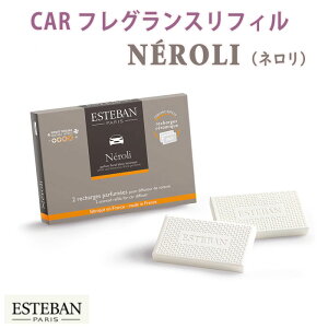 GXeo l J[tOXtB2 52328 ESTEBAN { A}    v[g 蕨 Mtg