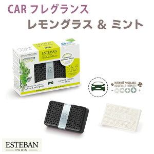 GXeo CeAK[fi`[ OX&~g CARtOX 52367 ESTEBAN { { A}    v[g 蕨 Mtg