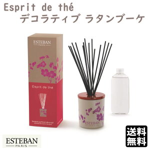 GXeo GXv h e fReBu^u[P 53889 ESTEBAN { A}    v[g 蕨 Mtg