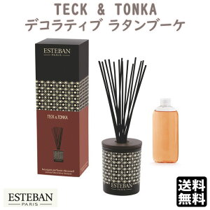 GXeo ebPgJ fReBu^u[P 53891 ESTEBAN { A}    v[g 蕨 Mtg