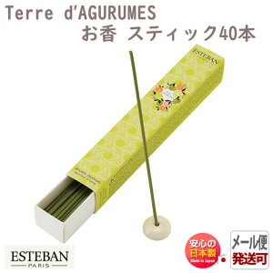 GXeo e[ _O[ XeBbN40{ 98880 { A}    v[g 蕨 Mtg